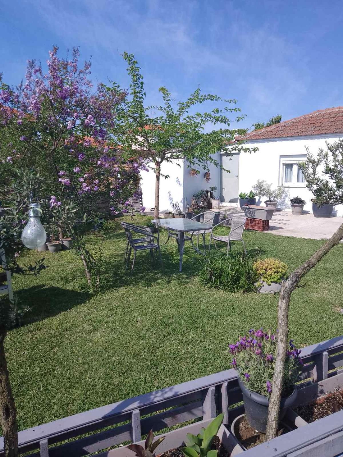 Agrikia Tis Vasilikis Apartment Ormília Екстериор снимка